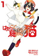 はたらく細胞　猫（１）