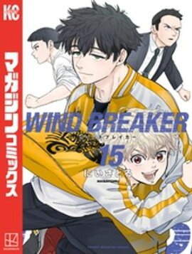 ＷＩＮＤ　ＢＲＥＡＫＥＲ（１５） 