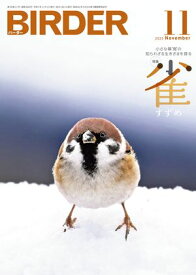 BIRDER2025年11月号【電子書籍】[ BIRDER編集部 ]