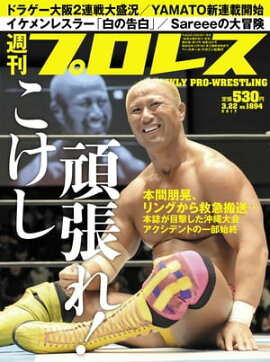 週刊プロレス 2017年 3/22号 No.1894 