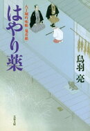 八丁堀吟味帳「鬼彦組」 はやり薬