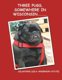 Three Pugs, Somewhere in Wisconsin【電子書籍】[ Lelastand ]