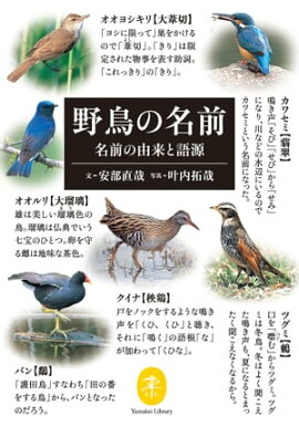 ��ޥ���ʸ�� ��Ļ��̾�� ̾����ͳ��ȸ츻 