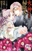 火の神さまの掃除人ですが、いつの間にか花嫁として溺愛されています【単話】（２９）