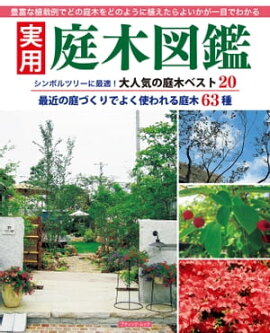 ���ѡ����ڿ޴� 