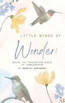 Little Wings of Wonder: Inside the Fascinating World of Hummingbirds
