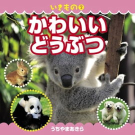 いきもの2　かわいいどうぶつ 