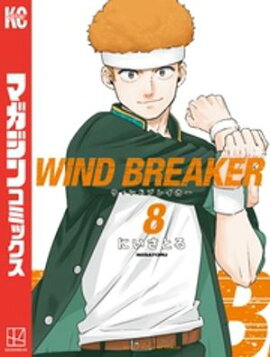 ＷＩＮＤ　ＢＲＥＡＫＥＲ（８） 