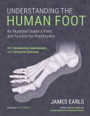 Understanding the Human Foot