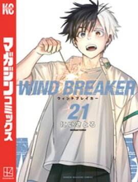 ＷＩＮＤ　ＢＲＥＡＫＥＲ（２１） 