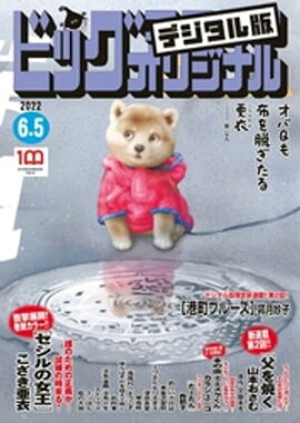 �ӥå����ߥå����ꥸ�ʥ� 2022ǯ11���2022ǯ5��20��ȯ��) 