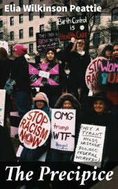 The Precipice A Novel【電子書籍】[ Elia Wilkinson Peattie ]