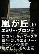 嵐が丘(上)