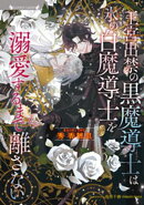 王宮出禁の黒魔導士は氷の白魔導士を溺愛するまで離さない