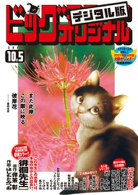 �ӥå����ߥå����ꥸ�ʥ� 2020ǯ19��(2020ǯ9��19��ȯ��) 