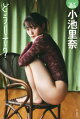 小池里奈デジタル写真集　どうして？