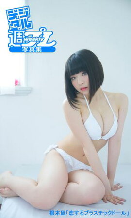 ��ǥ����뽵�ץ�̿����䡡�������������ץ饹���å��ɡ���� 