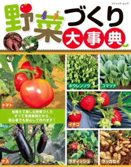 野菜づくり大事典 