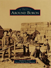 Around Boron【電子書籍】[ Barbara J. Pratt ]