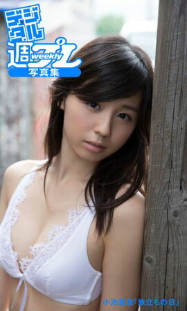 ��ǥ����뽵�ץ�̿����䡡����Τ���ιΩ�������� 