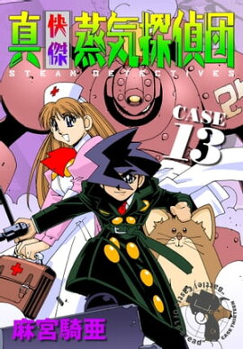 �����������õ���� (13) 