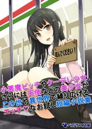 小悪魔ビッチやクーデレ少女、さらには天使などの美少女がこの世や異世界で繰り広げるエッチなお試し短編小説集