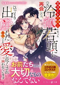 エリート弁護士になった（元）冷徹若頭に再会したら、ひっそり出産した息子ごと愛し尽くされ囲われています【電子書籍】[ なぁな ]