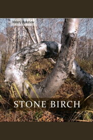 Stone Birch【電子書籍】[ Valery Bykasov ]