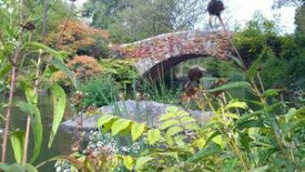 El Lazo Eterno【電子書籍】[ miguel alejandro castillo soto ]