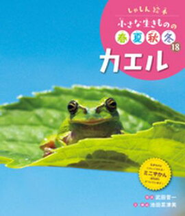 カエル１８　しゃしん絵本　小さな生きものの春夏秋冬 