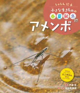 アメンボ１７　しゃしん絵本　小さな生きものの春夏秋冬 