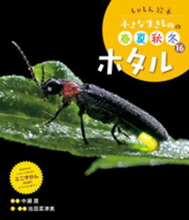 ホタル１６　しゃしん絵本　小さな生きものの春夏秋冬 