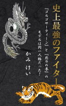 史上最強のファイター