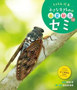 セミ１４　しゃしん絵本　小さな生きものの春夏秋冬 