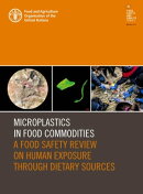 Microplastics in Food Commodities: A Food Safety Review on Human Exposure through Dietary Sources