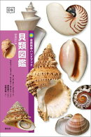 貝類図鑑