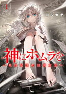 神にホムラを　ー最終定理の証明方法ー（１）