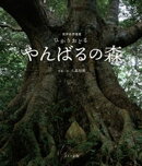 世界自然遺産 ひかりおどるやんばるの森