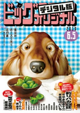 �ӥå����ߥå����ꥸ�ʥ� 2019ǯ11��(2019ǯ5��20��ȯ��) 