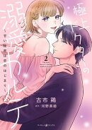 極上ドクターの溺愛カルテ〜甘い秘密は恋のはじまり〜 2