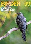 BIRDER2024年9月号