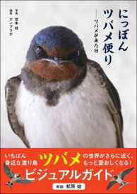 楽天市場 ツバメ ヒナの通販