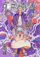 金色のガッシュ!! 完全版(14)