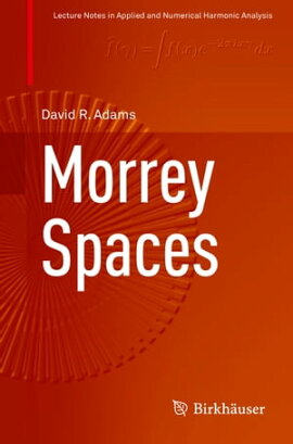 Morrey Spaces 