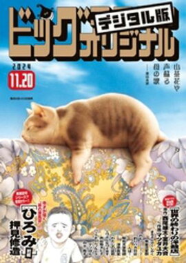 �ӥå����ߥå����ꥸ�ʥ� 2024ǯ22���2024ǯ11��5��ȯ��) 