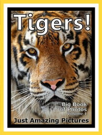 Just Tiger Photos! Big Book of Photographs & Pictures of Tigers, Vol. 1【電子書籍】[ Big Book of Photos ]