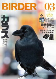 BIRDER2026年3月号 【電子書籍】[ BIRDER編集部 ]