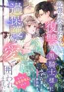 記憶を失くしたら、復讐の黒騎士様に過保護な愛で囲われました（ただし重要参考人として）