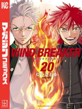 ＷＩＮＤ　ＢＲＥＡＫＥＲ（２０） 