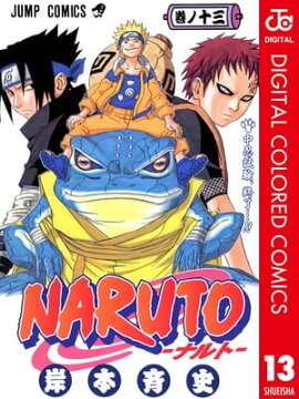 NARUTO���ʥ�ȡ� ���顼�� 13 
